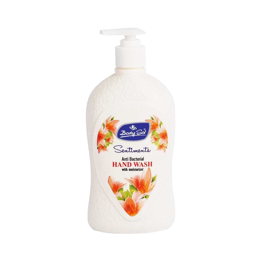 Body Sol Hand Wash Fancy