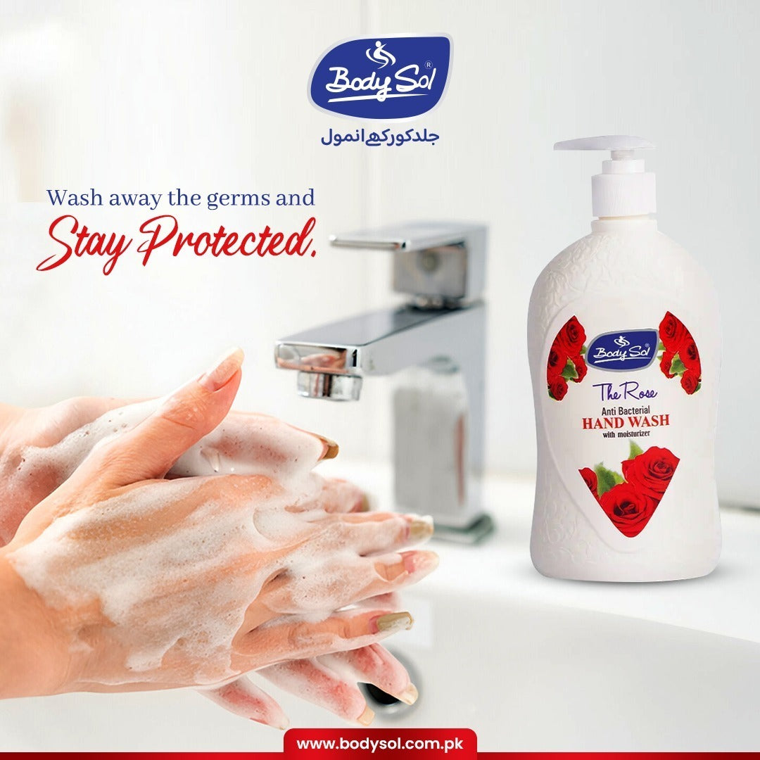 Body Sol The Rose Anti Bacterial Handwash