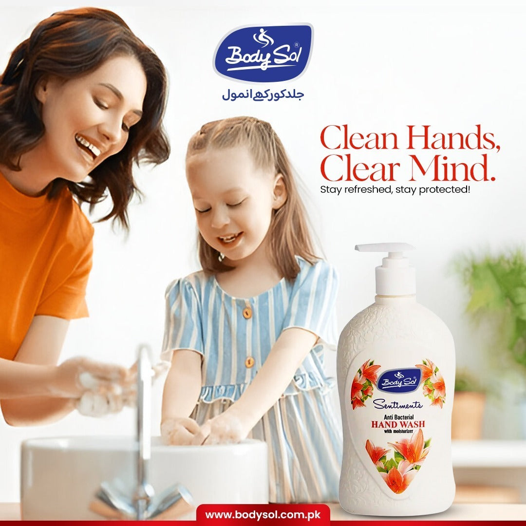 Body Sol Sentiments Anti Bacterial Handwash(500ml)